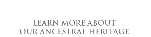 Island Mountain Development Group