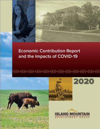 Economic Contribution Report 2020